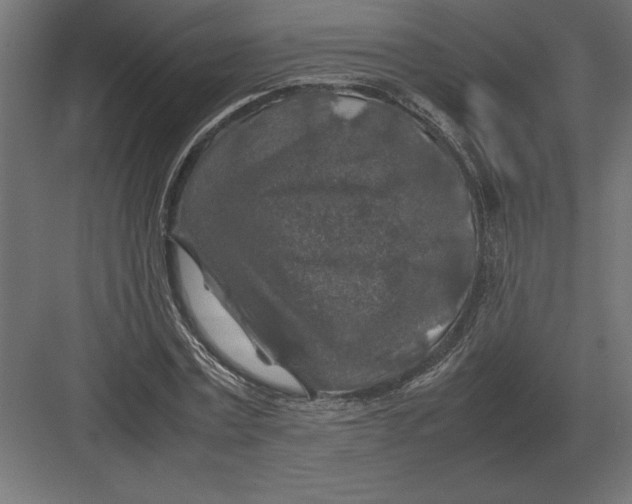 X0000082150779200702092150