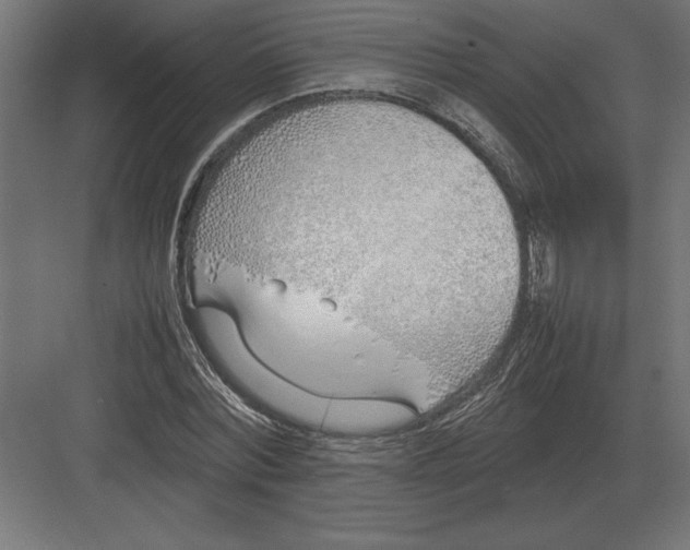 X0000082150780200702092150