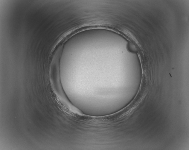 X0000082150781200702092150