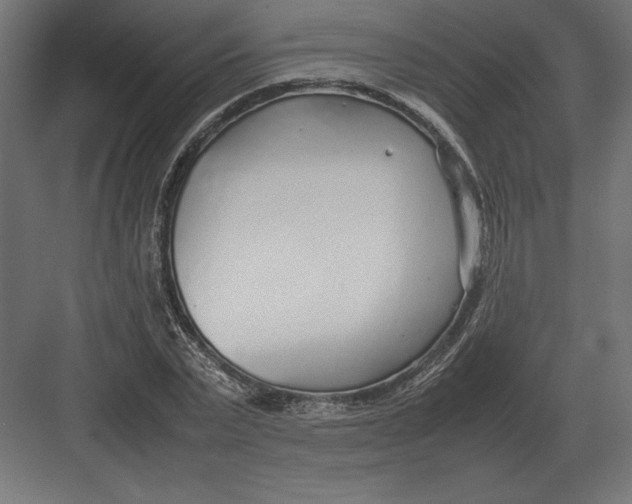 X0000082150783200702092150