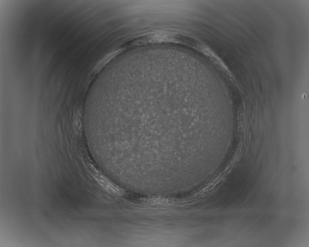 X0000082150785200702092150