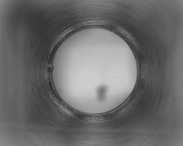 X0000082150786200702092150