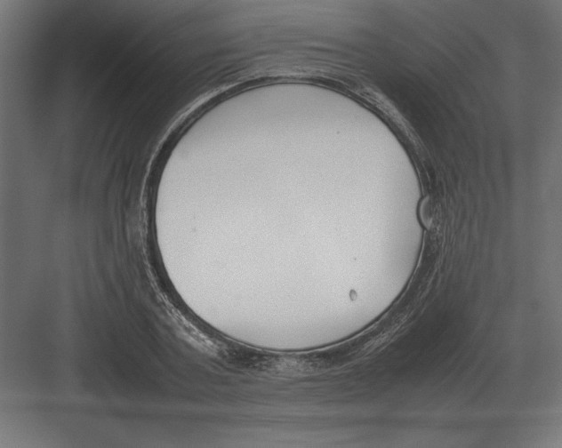 X0000082150787200702092150