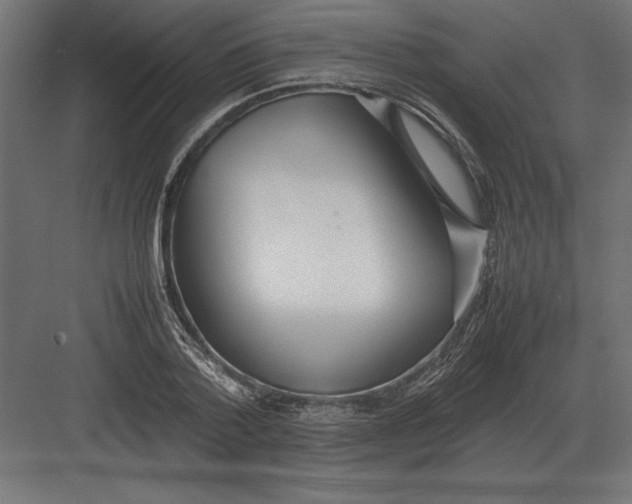 X0000082150788200702092150