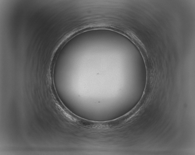 X0000082150789200702092150