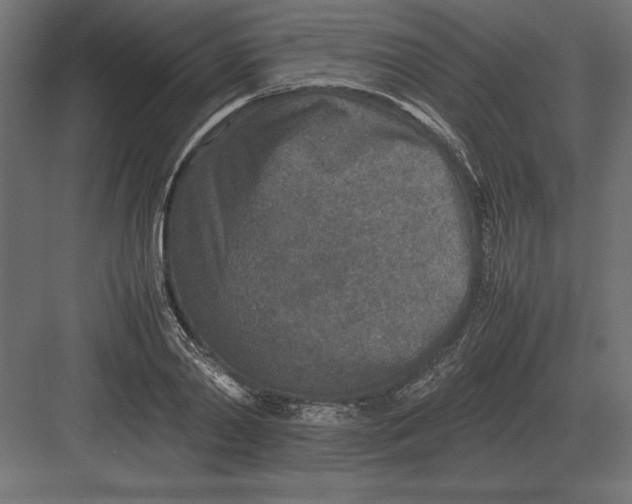 X0000082150790200702092150