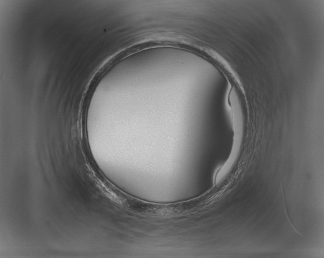 X0000082150791200702092150