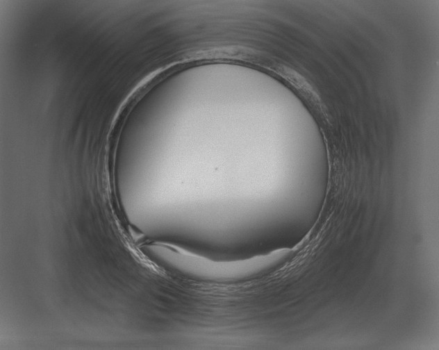 X0000082150792200702092150