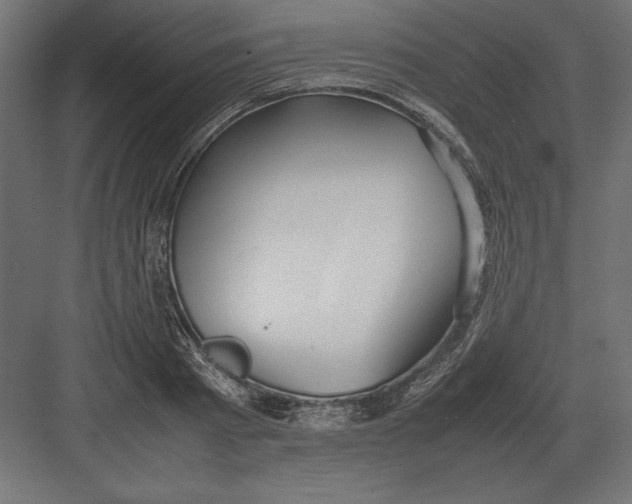 X0000082150793200702092150