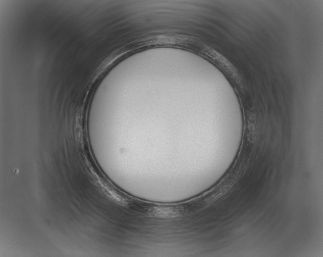 X0000082150794200702092150