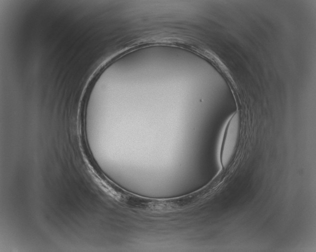 X0000082150795200702092150