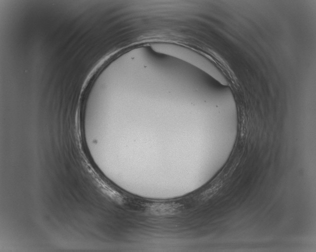 X0000082150796200702092150