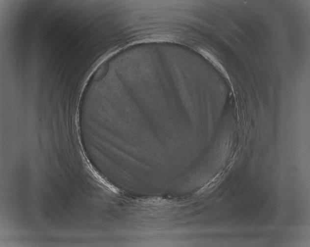 X0000082150797200702092150