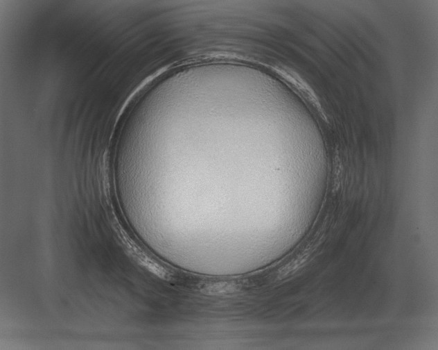 X0000082150798200702092150