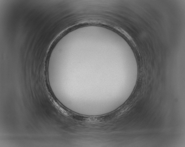 X0000082150799200702092150