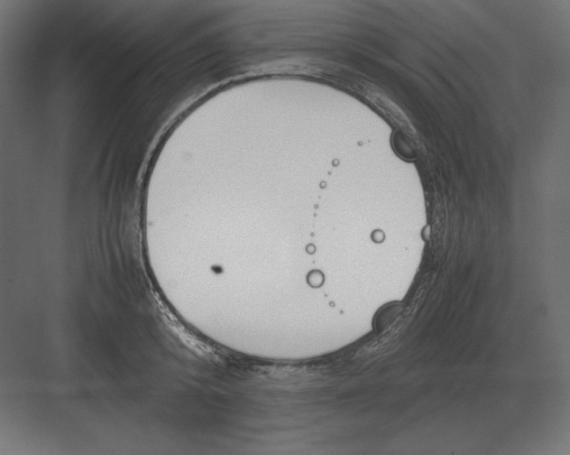 X0000082150800200702092150