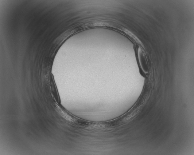 X0000082150801200702092149