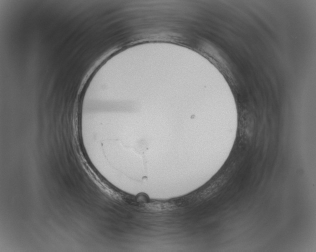 X0000082150804200702092149