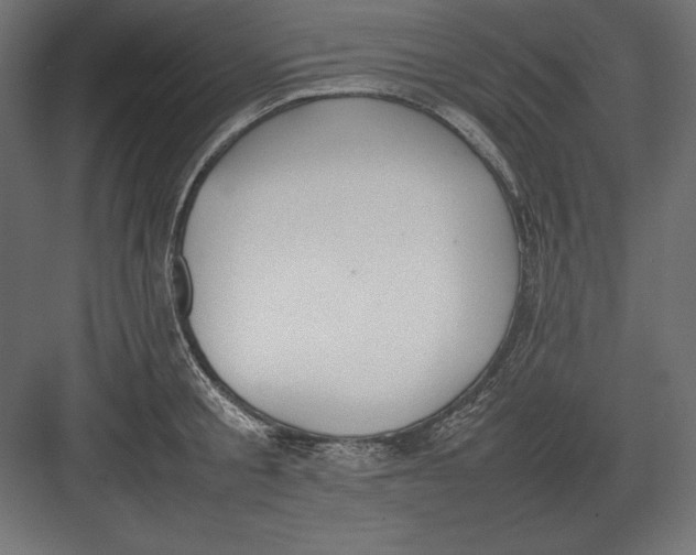 X0000082150805200702092149