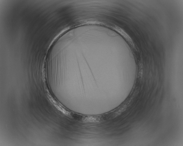 X0000082150806200702092149