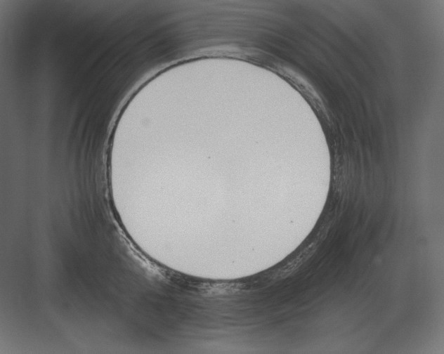 X0000082150808200702092149