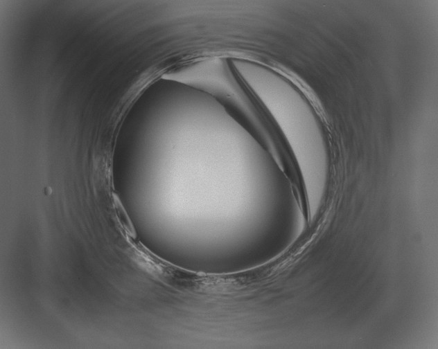 X0000082150809200702092149