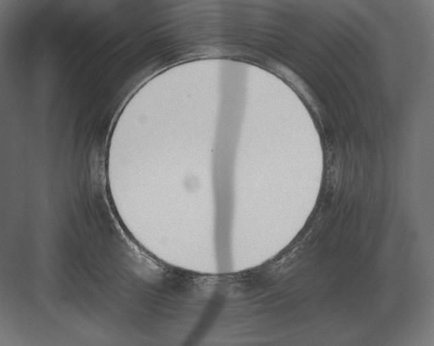 X0000082150810200702092149