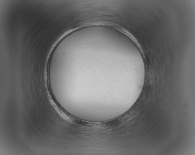 X0000082150811200702092149