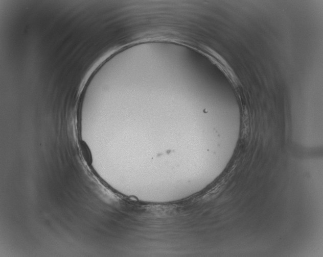 X0000082150812200702092149