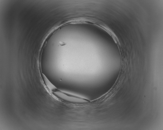 X0000082150813200702092149