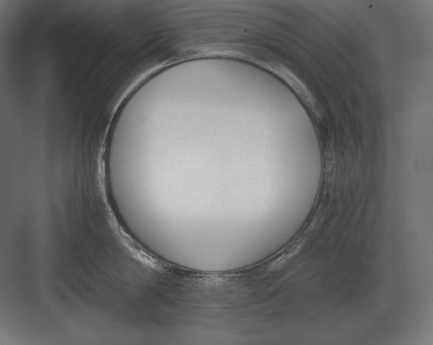 X0000082150814200702092149