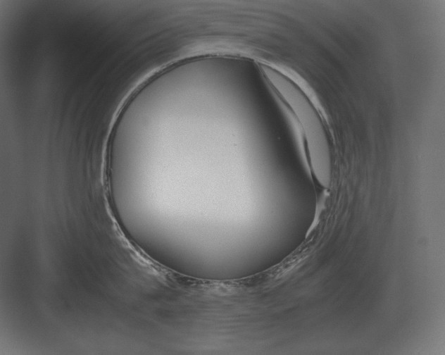 X0000082150815200702092149