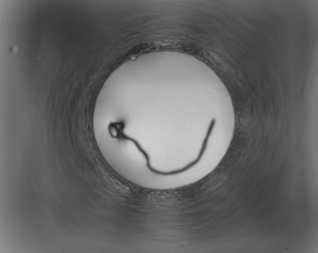 X0000082150817200702092148