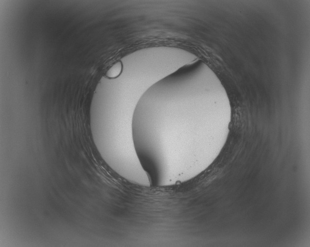 X0000082150820200702092148