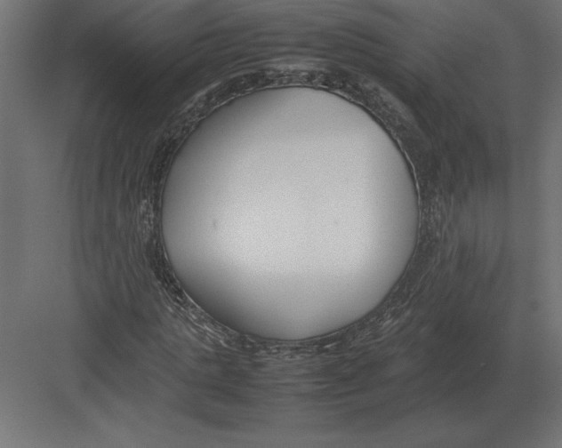 X0000082150821200702092148