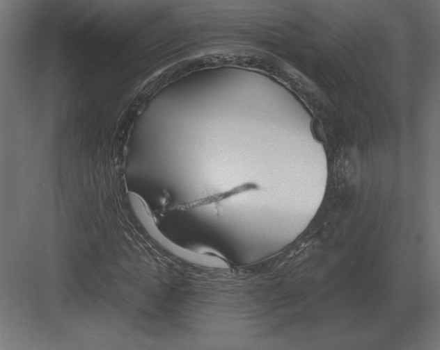 X0000082150822200702092149