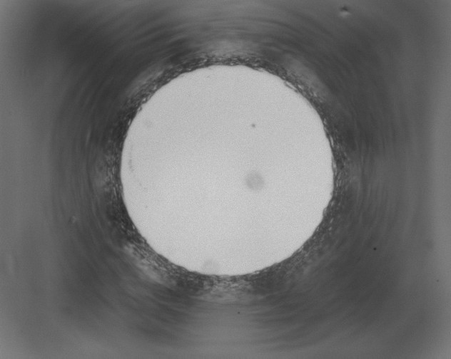 X0000082150824200702092149