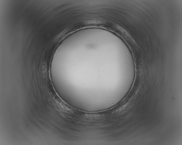 X0000082150825200702092149