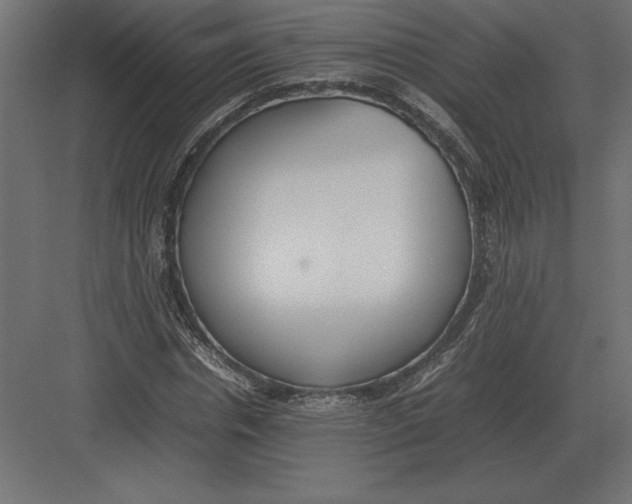 X0000082150826200702092149