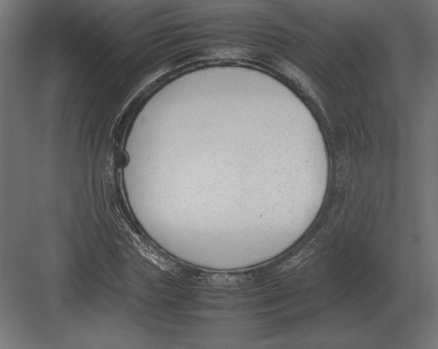 X0000082150827200702092149