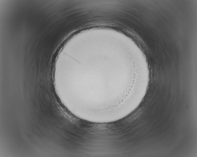 X0000082150828200702092149