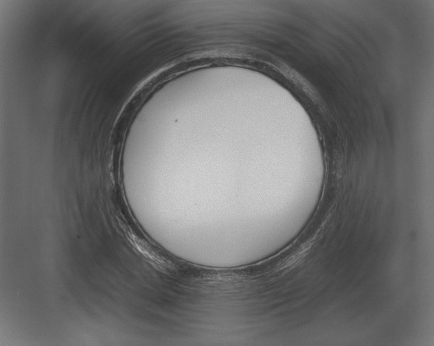 X0000082150830200702092149