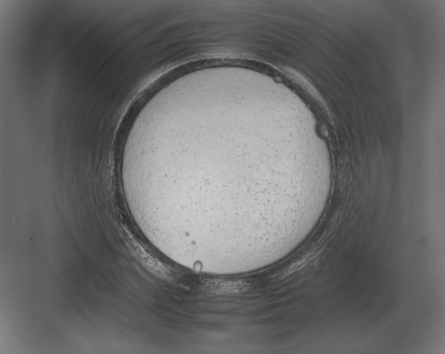 X0000082150831200702092149