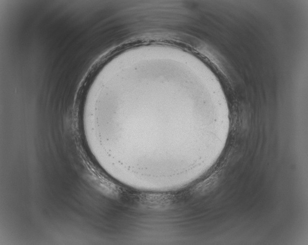 X0000082150832200702092149