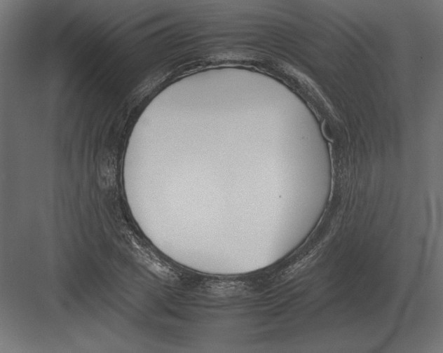 X0000082150833200702092149