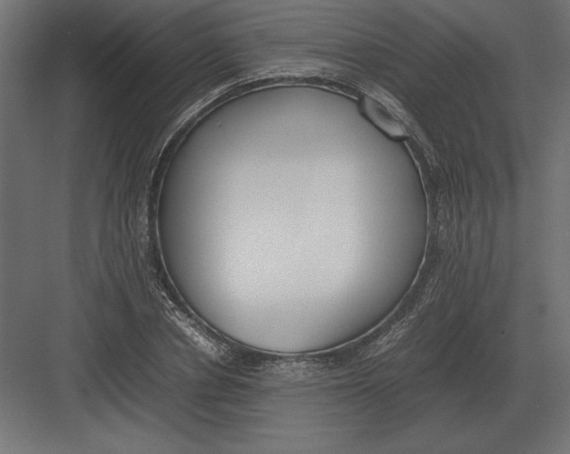 X0000082150834200702092149