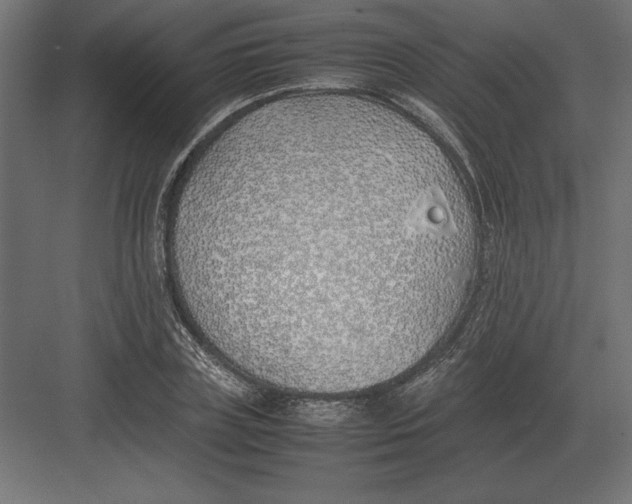 X0000082150835200702092149