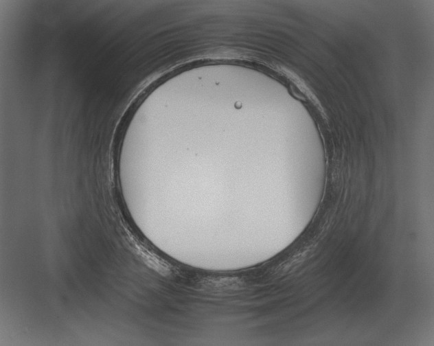 X0000082150837200702092149