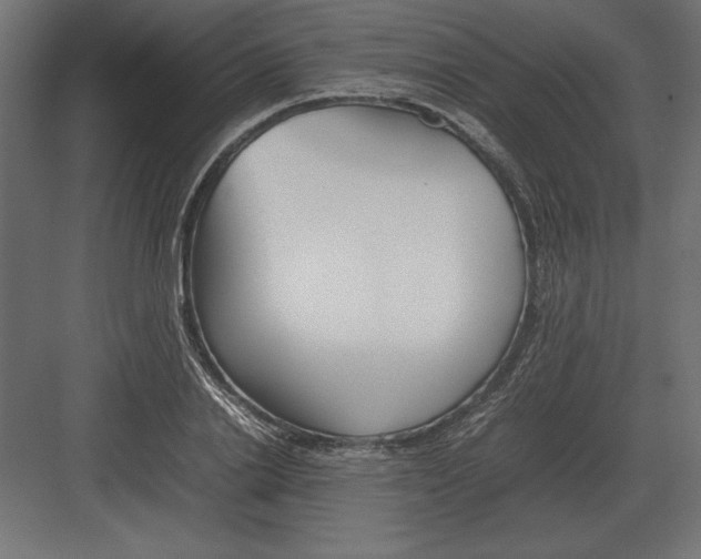 X0000082150838200702092149