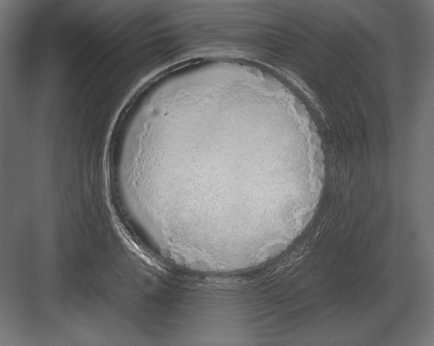 X0000082150840200702092149